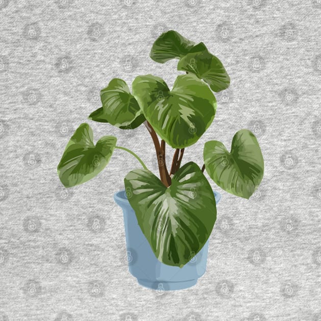 Philodendron Melanoneuron by gronly